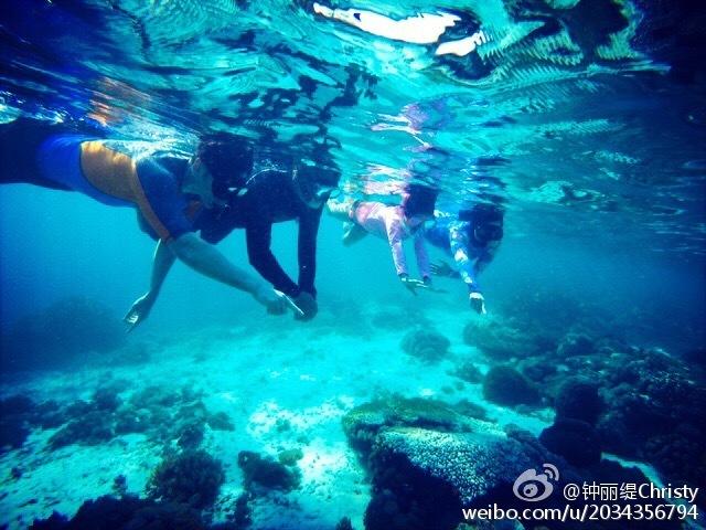 救援小巨鳄